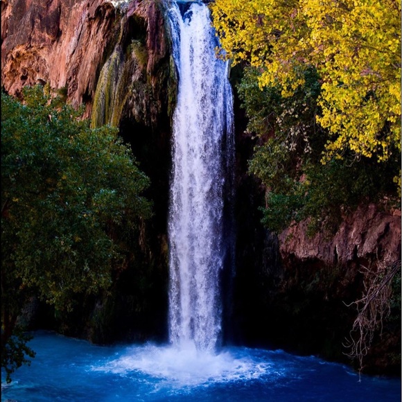 Meet your Posher, Michele - Picture 1 of 1